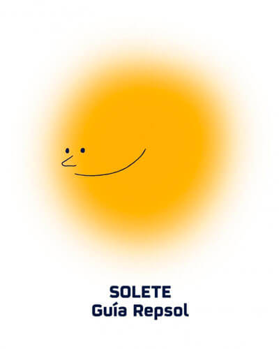 solete guía Repsol